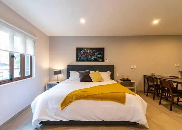 Lovely Loft In Coyoacan