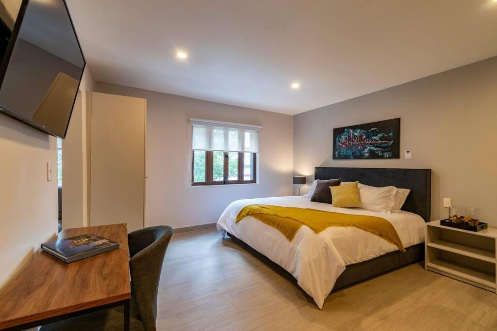 Lovely Loft In Coyoacan Apartment Mexico City