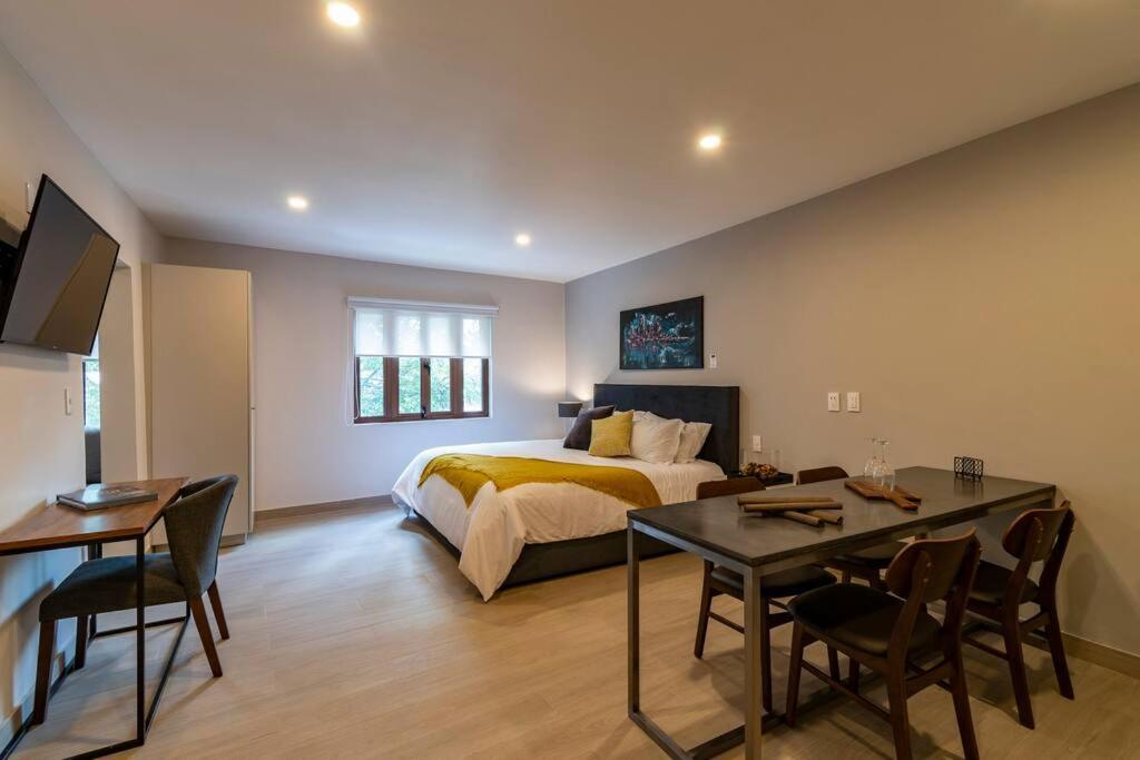 Lovely Loft In Coyoacan Apartment Mexico City
